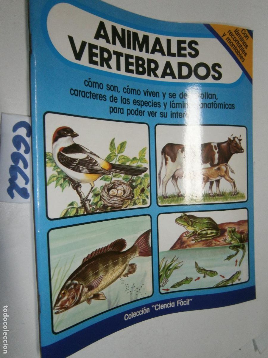 Libros de segunda mano: ANTIGUO LIBRO - CIENCIA FACIL - ANIMALES VERTEBRADOS - CON LAMINAS RECORTABLES Y MONTABLES (NUEVO)