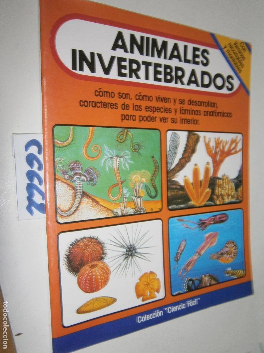 Libros de segunda mano: ANTIGUO LIBRO - CIENCIA FACIL - ANIMALES INVERTEBRADOS - CON LAMINAS RECORTABLES Y MONTABLES (NUEVO)