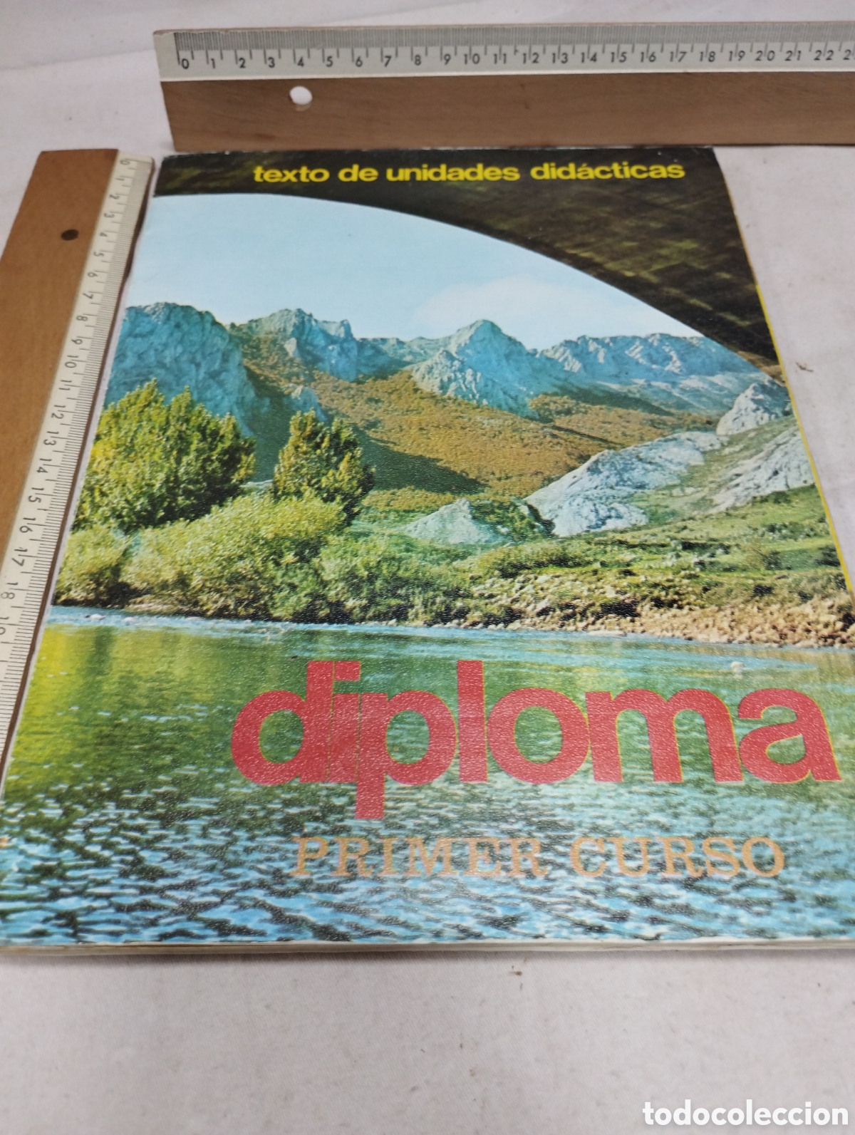 Libros de segunda mano: Diploma. Texto de unidades did&aacute;cticas. Primer curso