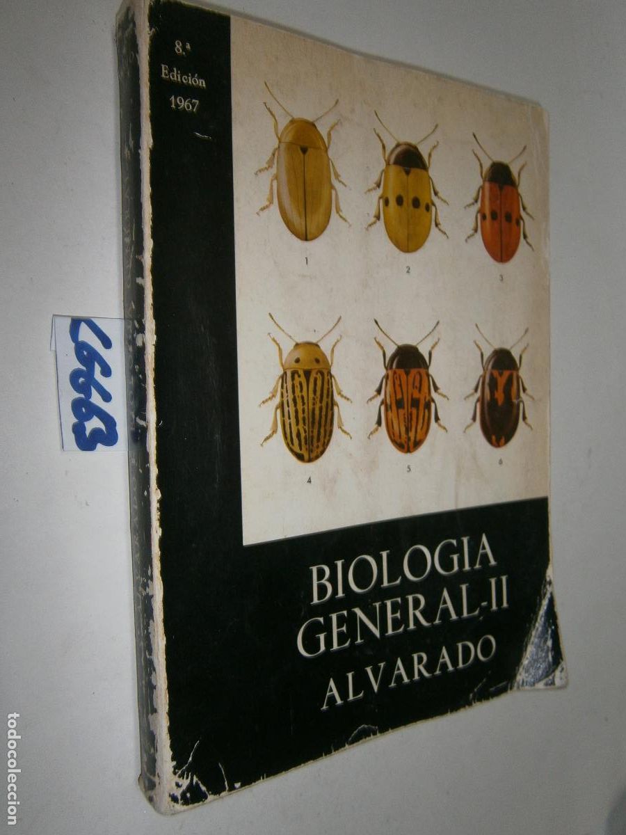 Libros de segunda mano: ANTIGUO LIBRO DE TEXTO - BIOLOGIA GENERAL II - Foto 1