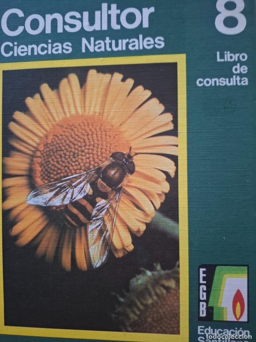 Libros de segunda mano: consultor ciencias naturales 8&ordm; EGB vv aa