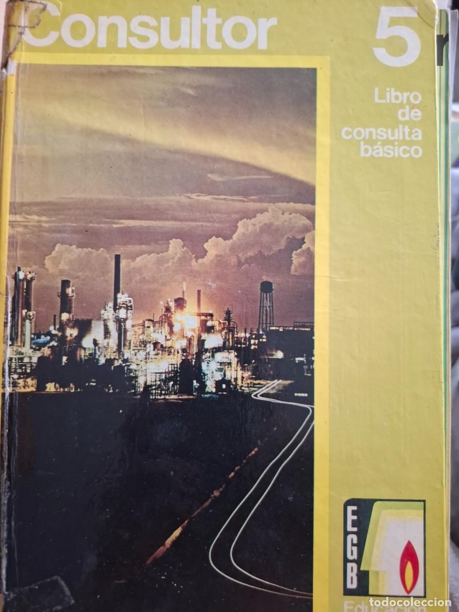 Libros de segunda mano: consultor 5&ordm; EGB vv aa