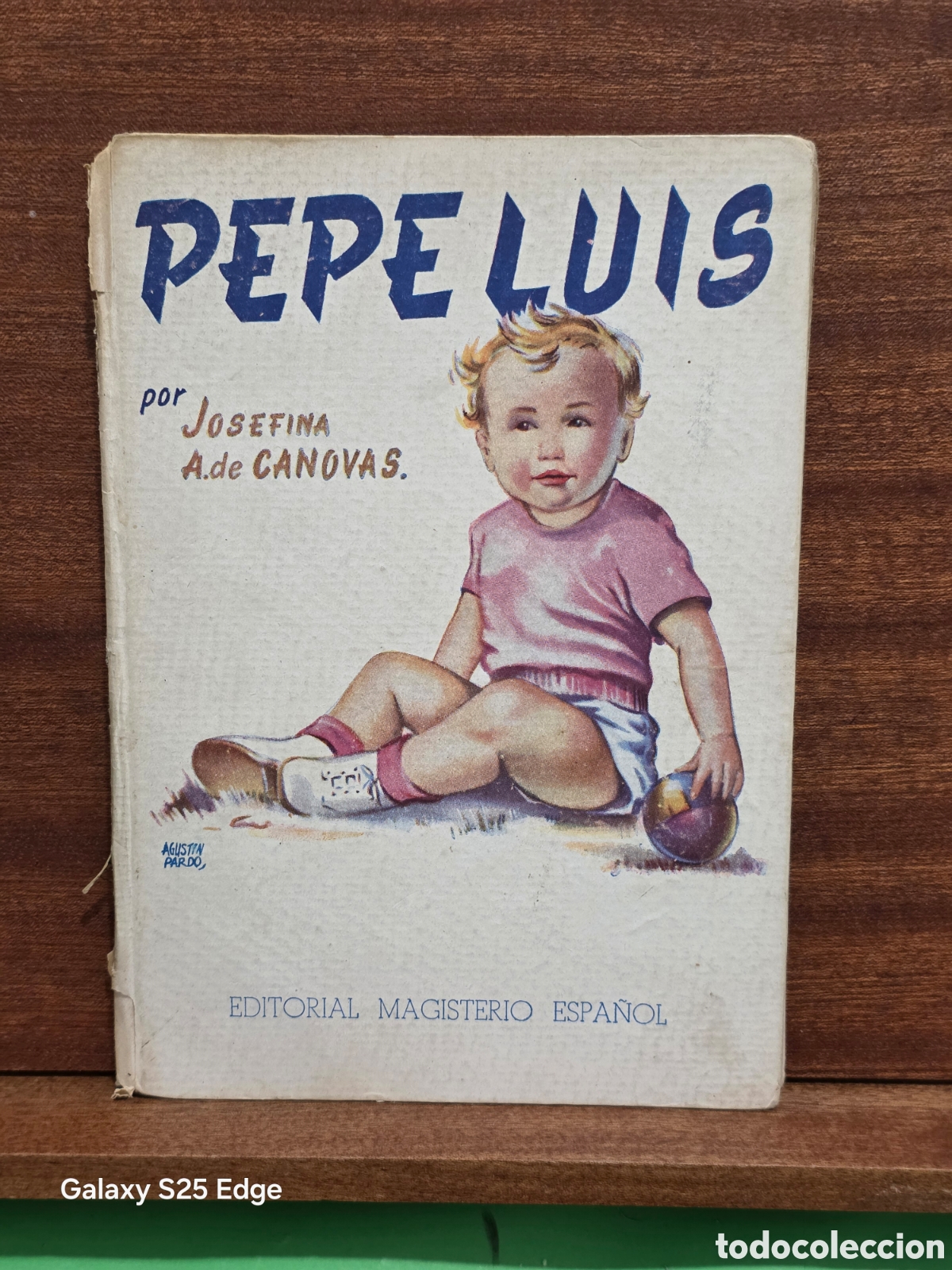 Libros de segunda mano: &rdquo;&rdquo;PEPE LUIS&rdquo;&rdquo;...LIBRO DE LECTURA PARA NI&Ntilde;OS...JOSEFINA ALVAREZ DE C&Agrave;NOVAS...EDIT. MAGISTERIO..1946..