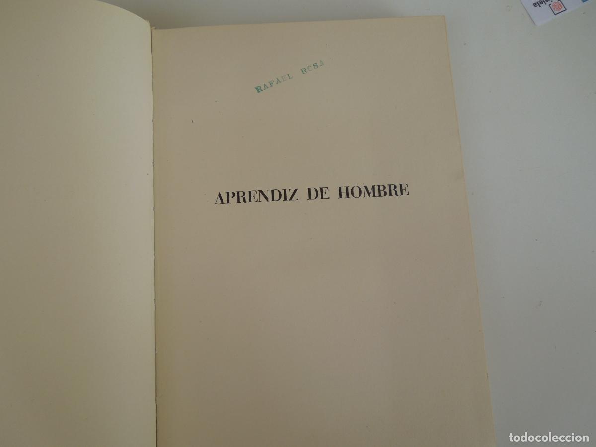 Libros de segunda mano: APRENDIZ DE HOMBRE - G. TORRENTE BALLESTER - DONCEL 1964 - Foto 2