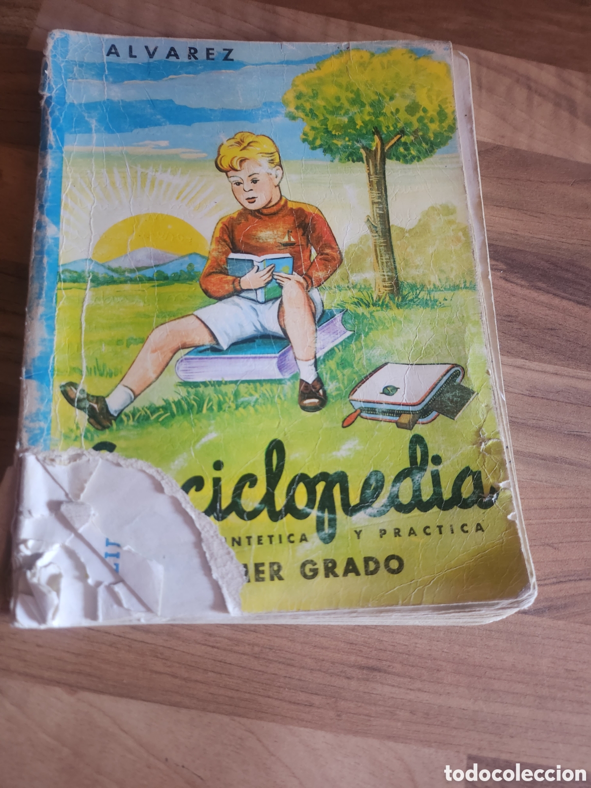 Libros de segunda mano: Enciclopedia &Aacute;lvarez - primer grado