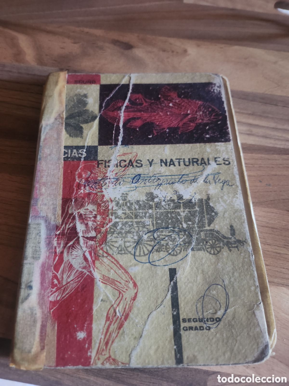 Libros de segunda mano: elementos de ciencias de la naturaleza segundo curso 1961