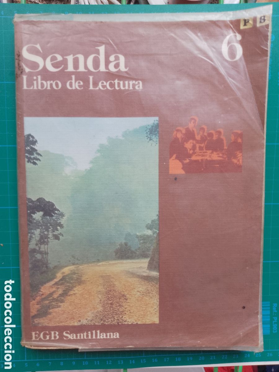Libros de segunda mano: SENDA 6 . EDITORIAL SANTILLANA 1977 . BUEN ESTADO