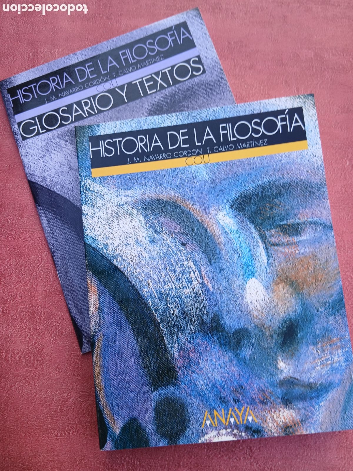 Libros de segunda mano: Historia de la filosof&iacute;a. COU. J.M.Navarro Cord&oacute;n y T. Calvo Mart&iacute;nez. Con glosario y textos.