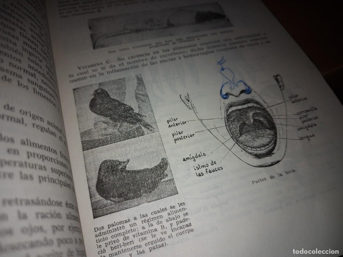 Libros de segunda mano: CIENCIAS NATURALES, SEGUNDO CURSO, ANAYA - Foto 2