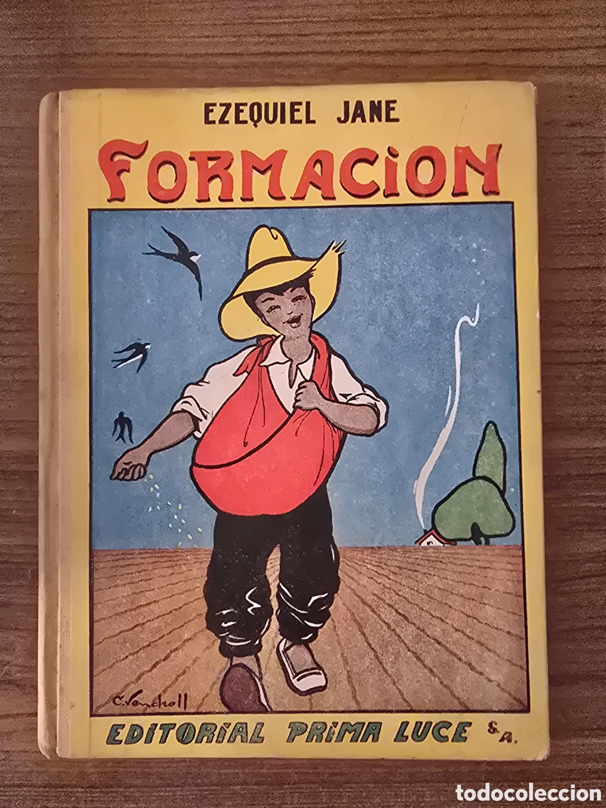 Libros de segunda mano: FORMACION,EZEQUIEL JANE,A&Ntilde;O 1961,(EDITORIAL PRIMA LUCE)