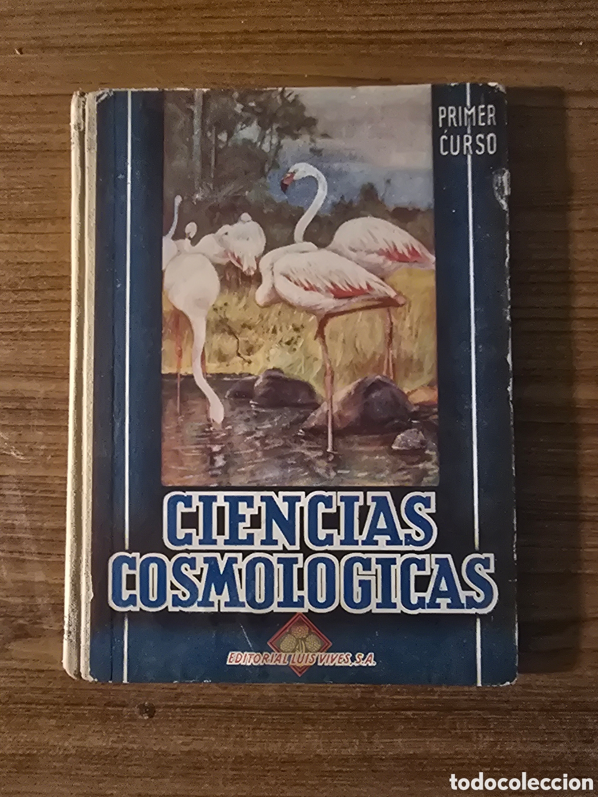 Libros de segunda mano: CIENCIAS COSMOLOGICAS,A&Ntilde;O 1945,PRIMER CURSO,(EDITORIAL LUIS VIVES)