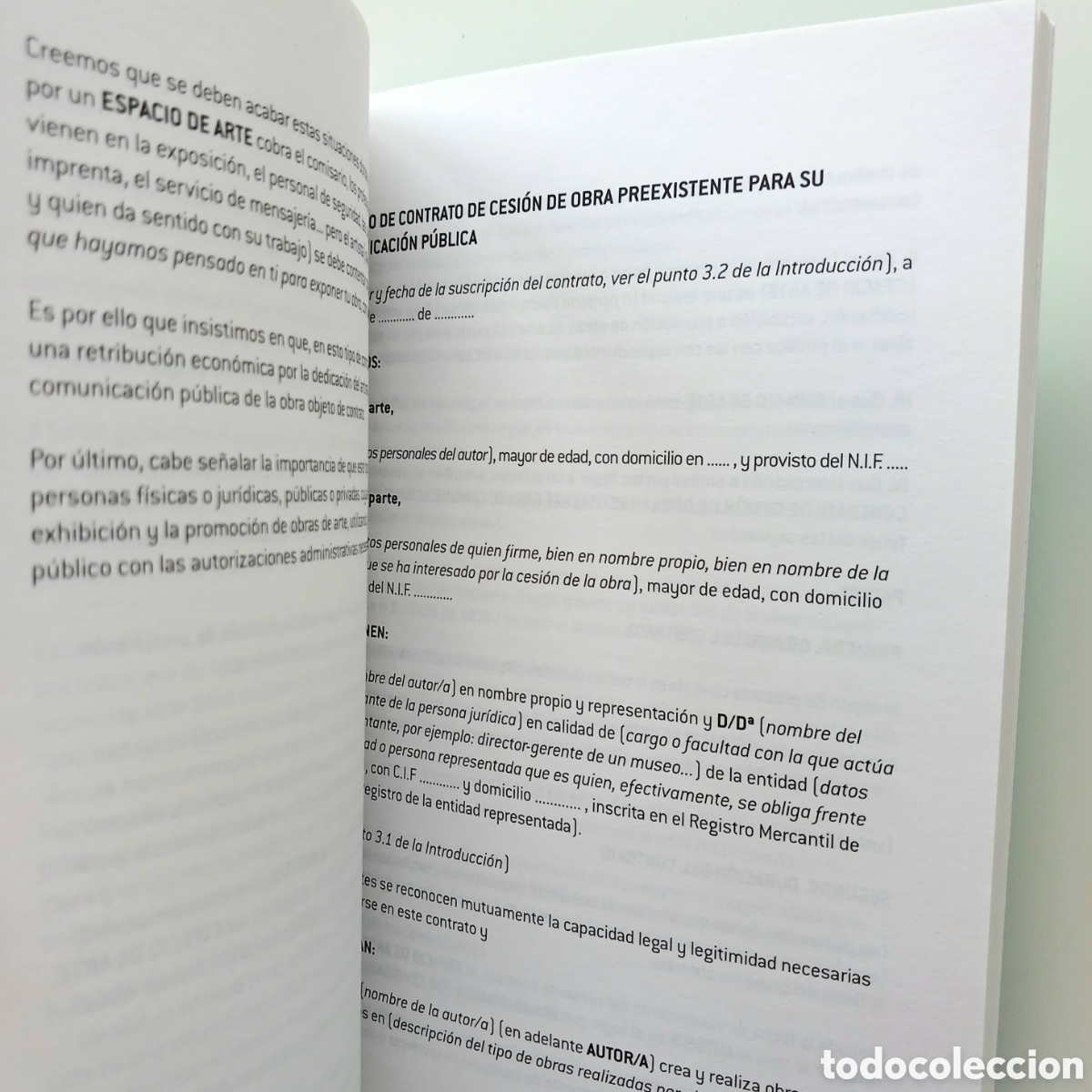 Libros de segunda mano: Manual de buenas pr&aacute;cticas profesionales en las artes visuales - Foto 8