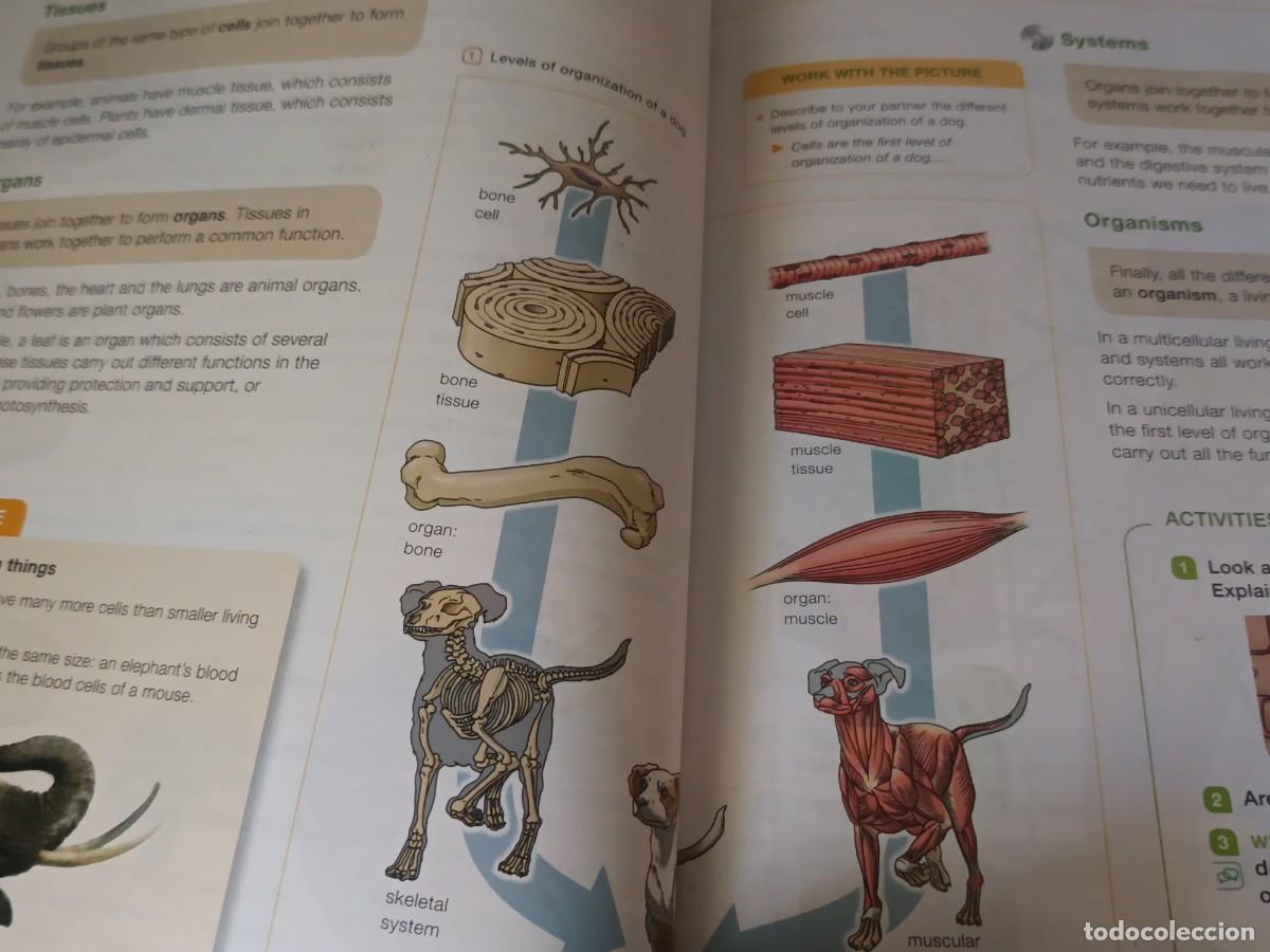 Libros de segunda mano: Natural Science 6 Primary - Foto 5