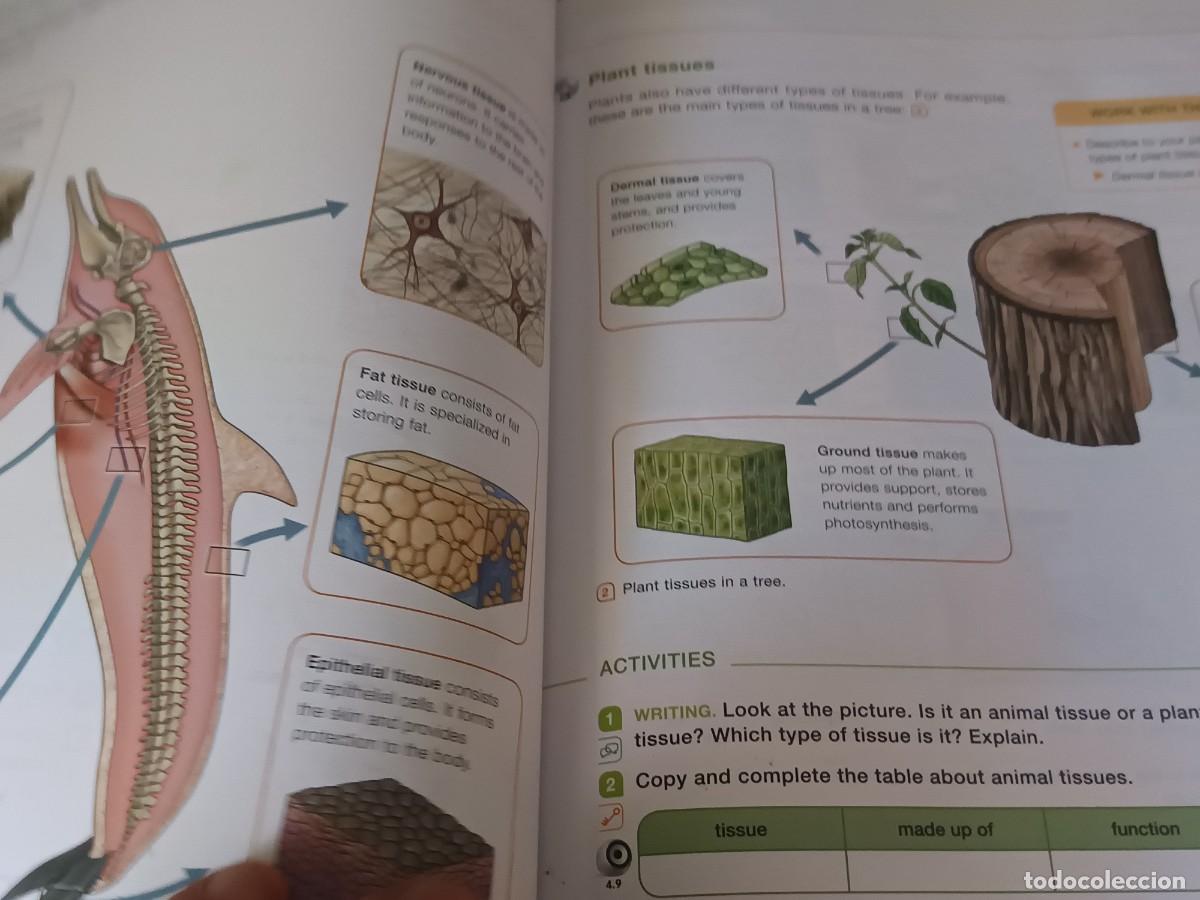 Libros de segunda mano: Natural Science 6 Primary - Foto 6