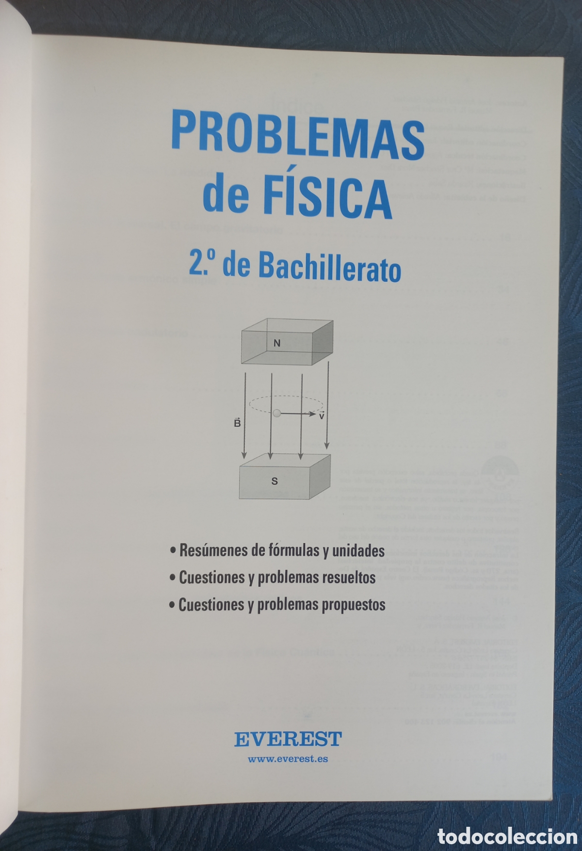Libros de segunda mano: Problemas de F&iacute;sica 2 &ndash; Editorial Everest - Foto 2