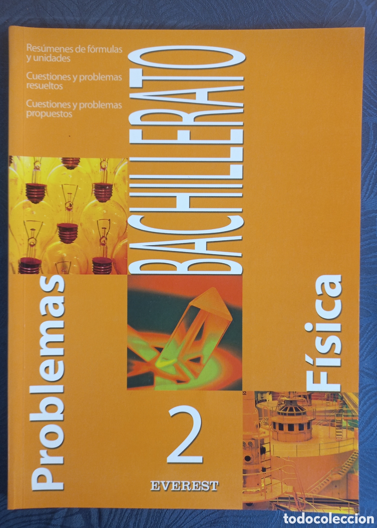 Libros de segunda mano: Problemas de F&iacute;sica 2 &ndash; Editorial Everest