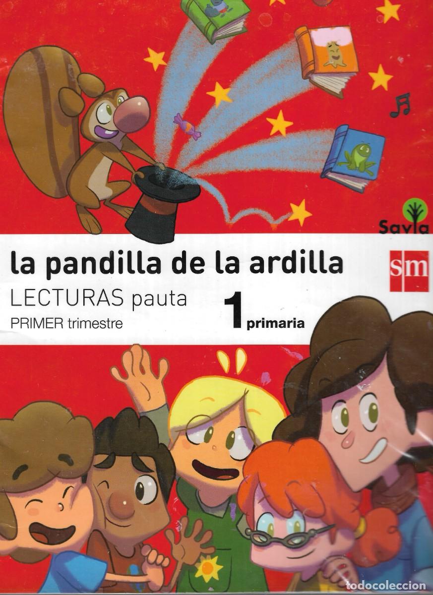 Libros de segunda mano: LA PANDILLA DE LA ARDILLA - LECTURAS PAUTA - 1&ordm; PRIMARIA - SM EDICIONES, S.A.