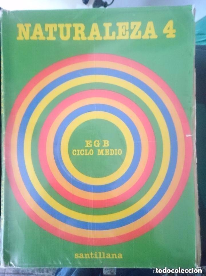 Libros de segunda mano: NATURALEZA 4 EGB CICLO MEDIO - SANTILLANA