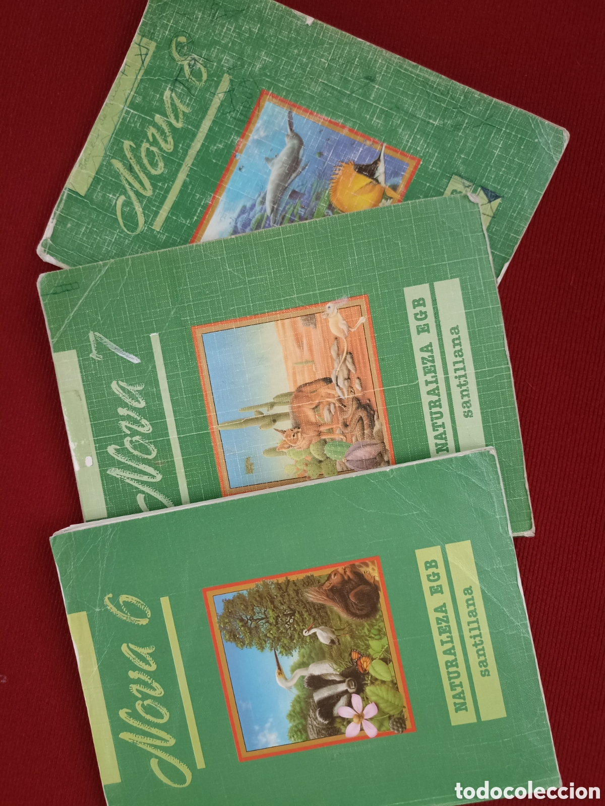 Libros de segunda mano: Naturaleza EGB Santillana. Nova 6,7 y 8