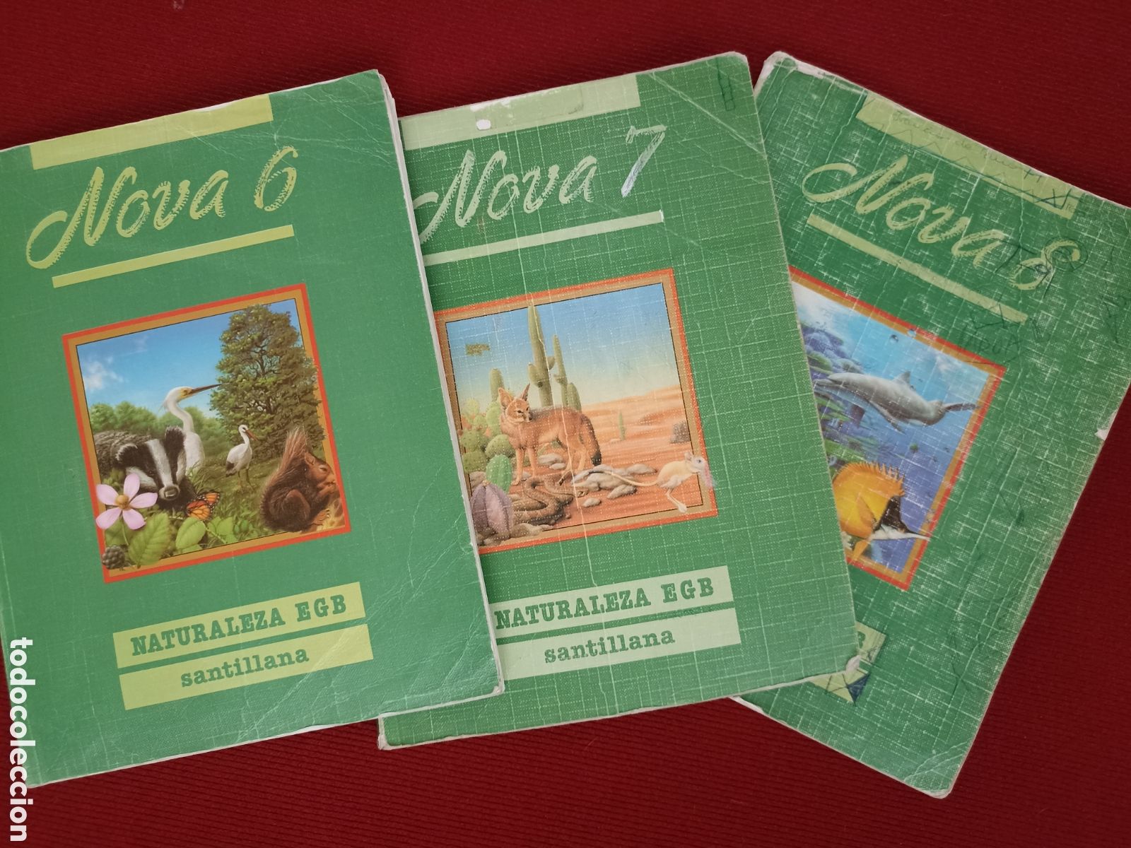 Libros de segunda mano: Naturaleza EGB Santillana. Nova 6,7 y 8