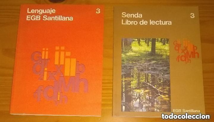 Libros de segunda mano: SENDA 3 + LENGUAJE 3 - PANDORA Y LOS NI&Ntilde;OS - 3&ordm; EGB CICLO MEDIO - SANTILLANA - RESTOS DE LIBRER&Iacute;A