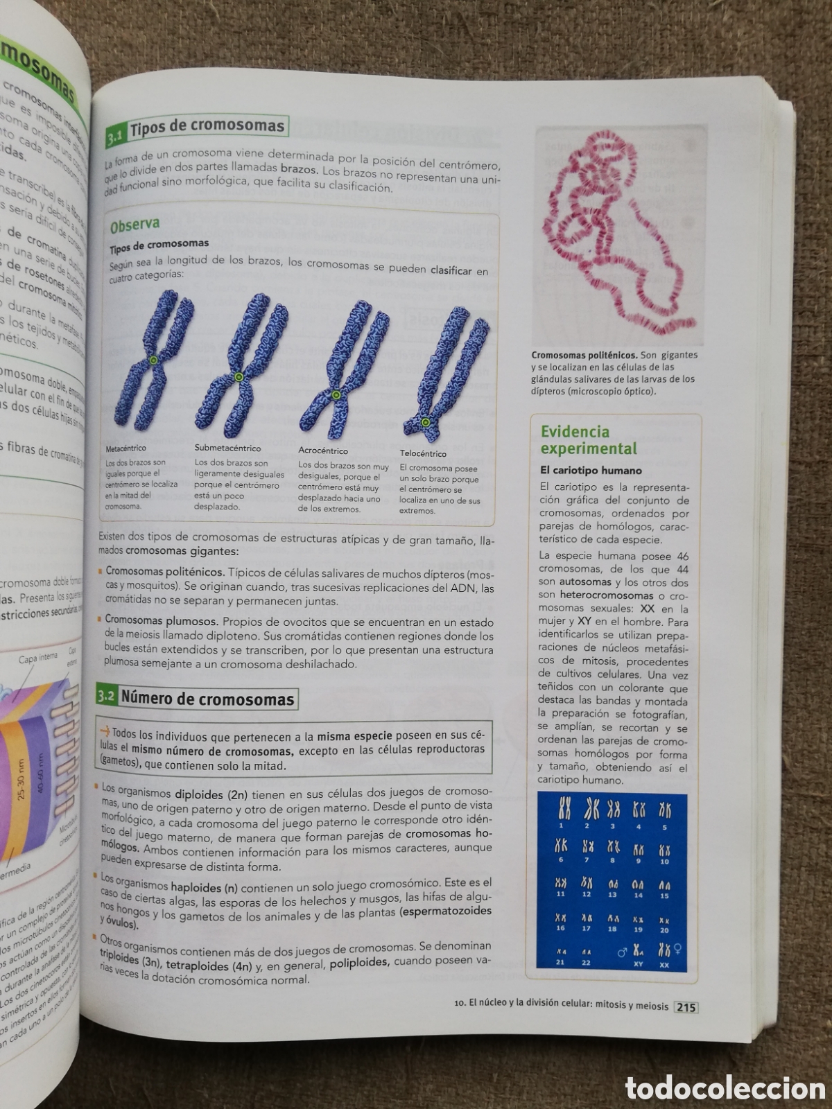 Libros de segunda mano: Bachillerato c&oacute;digo Bru&ntilde;o. Biolog&iacute;a 2 - Foto 3