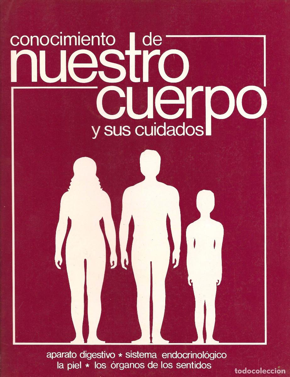 Libros de segunda mano: Conocimiento de nuestro cuerpo y sus cuidados. Digestivo. Sistema endocrinol&oacute;gico. La piel. Los &oacute;rga