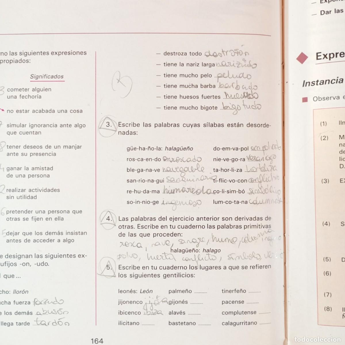 Libros de segunda mano: EDEB&Eacute; - LENGUAJE - 8 - E.G.B. C.S. / 6066 - Foto 6
