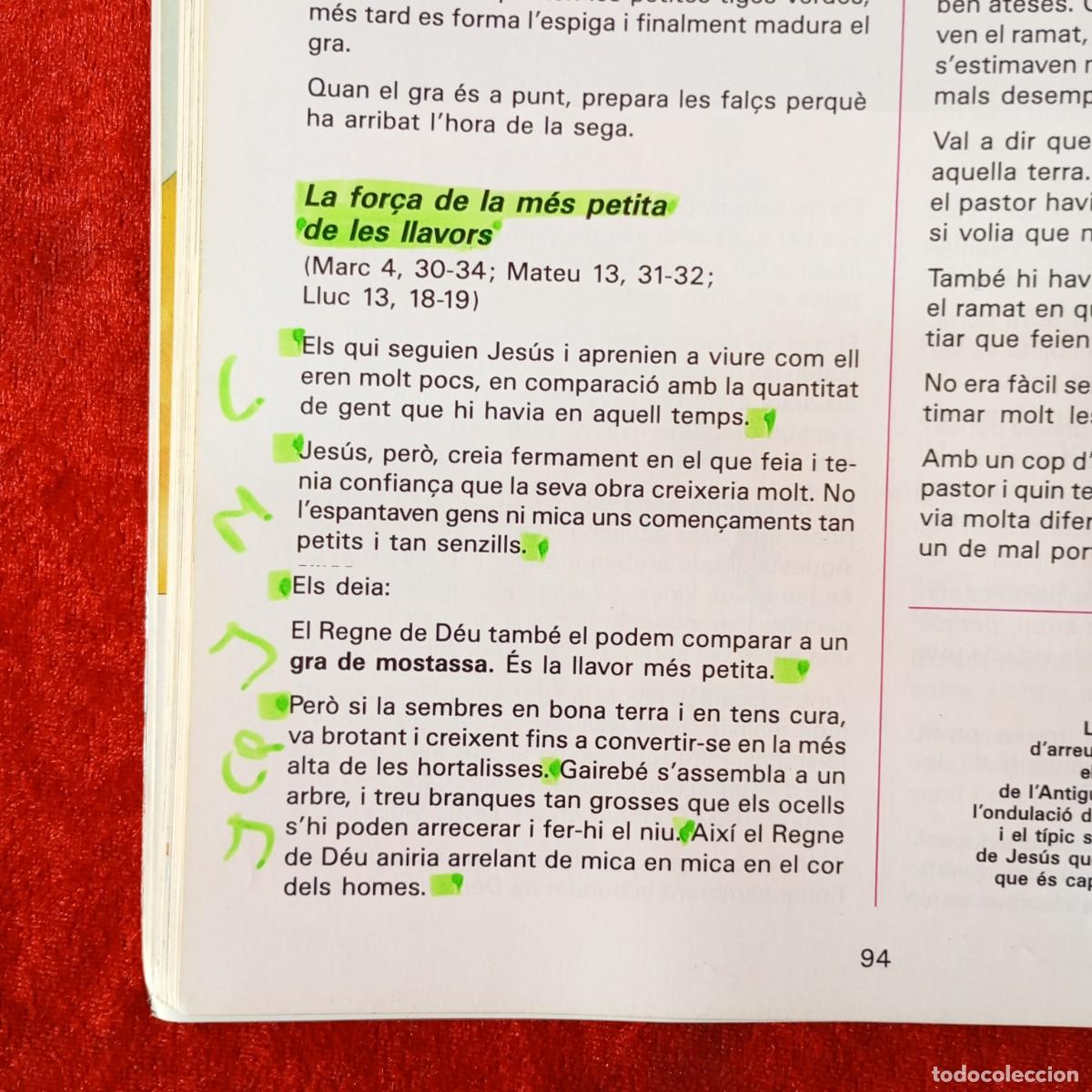 Libros de segunda mano: EDEB&Eacute; - RELIGI&Oacute; CAT&Ograve;LICA - E.G.B. - 7 - C.S. / 6069 - Foto 5
