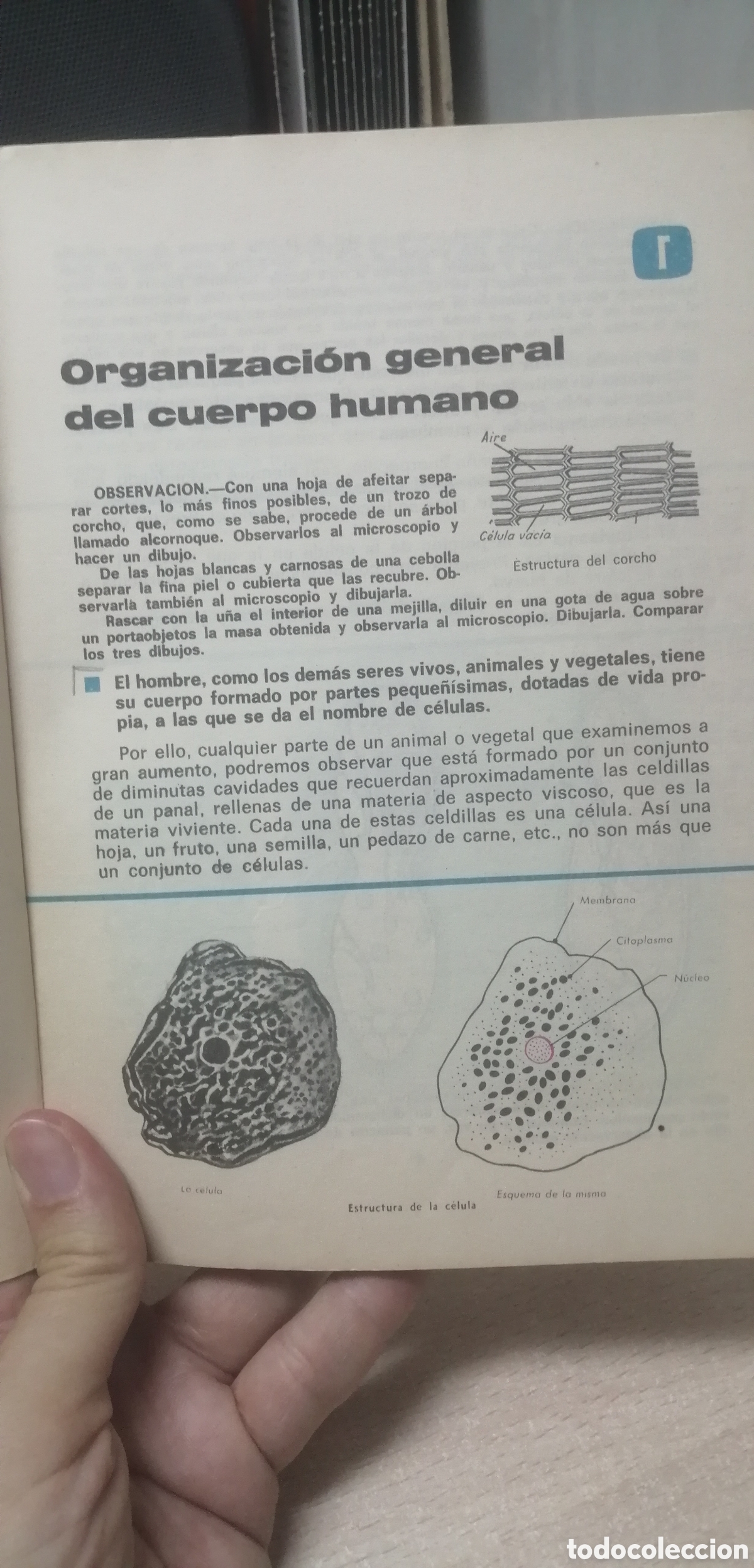 Libros de segunda mano: Ciencias Naturales 2&deg; Ecir 1968 ECIR E. L&oacute;pez Mezquida, editor - Foto 7