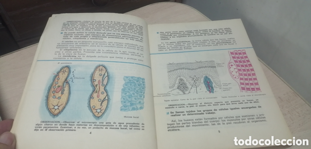 Libros de segunda mano: Ciencias Naturales 2&deg; Ecir 1968 ECIR E. L&oacute;pez Mezquida, editor - Foto 8