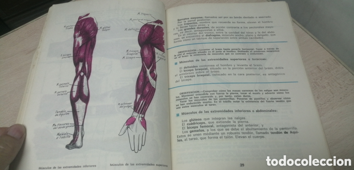 Libros de segunda mano: Ciencias Naturales 2&deg; Ecir 1968 ECIR E. L&oacute;pez Mezquida, editor - Foto 12