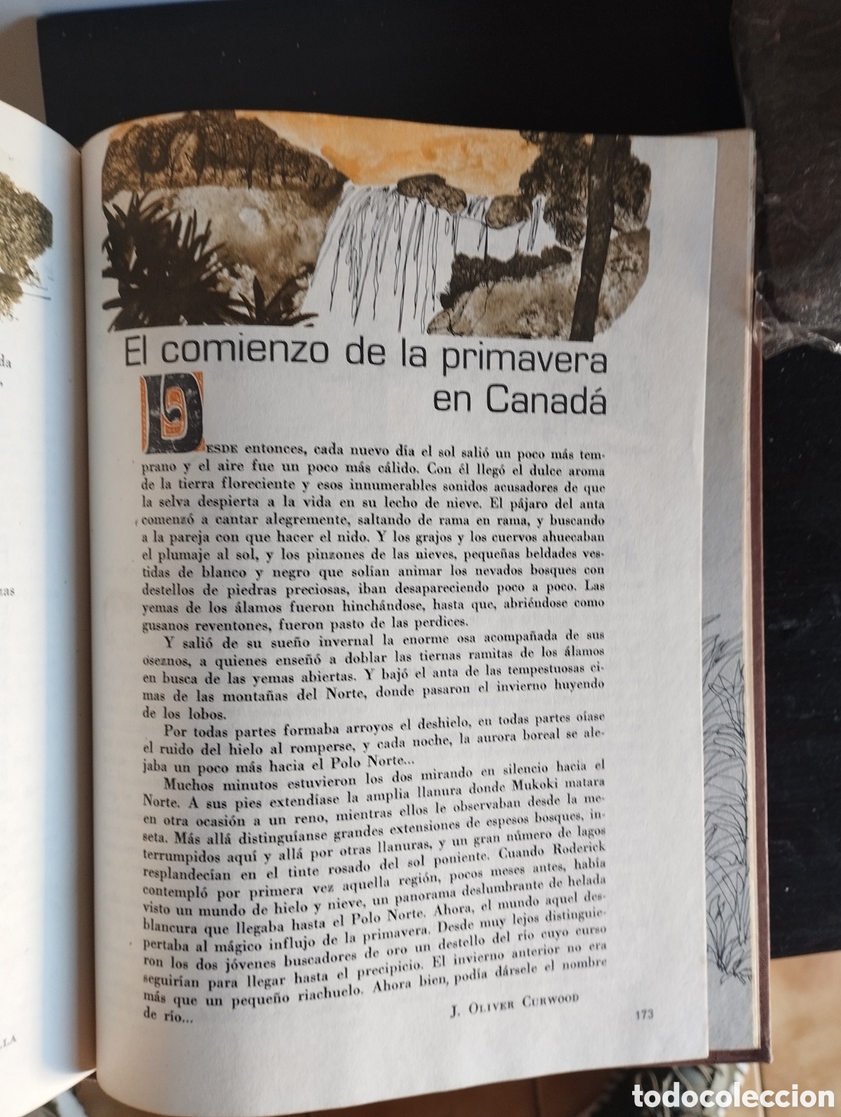 Libros de segunda mano: Libro lectura Senda 5&deg; curso E.G.B - Foto 3