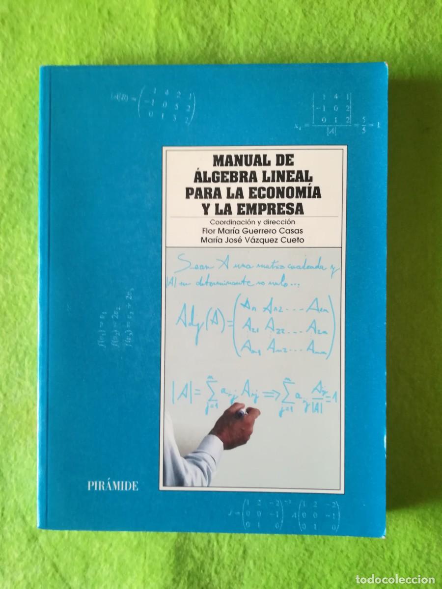 Libros de segunda mano: Manual de algebra lineal para la economia y la empresa Flor Maria Guerrero piramide 1998