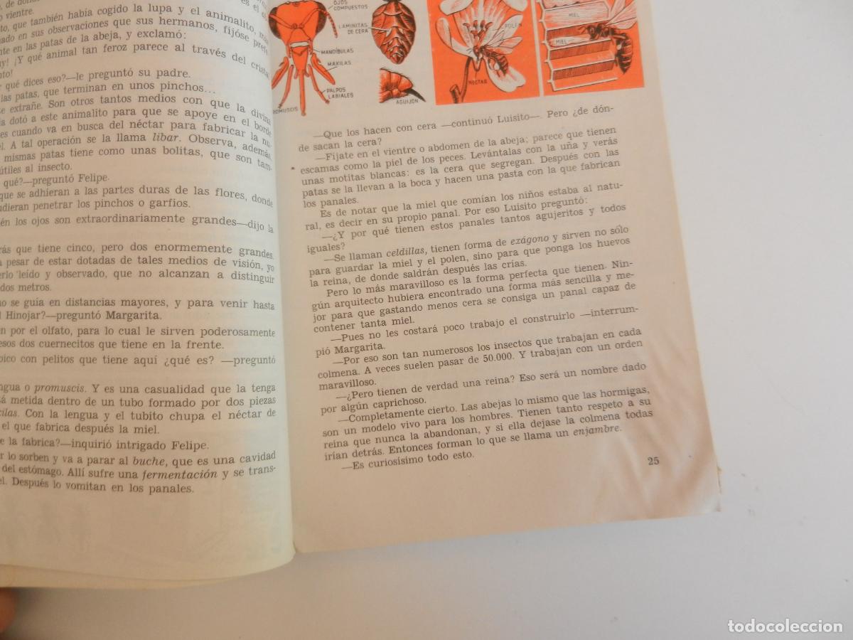 Libros de segunda mano: CHICOS Y COSAS - LECTURAS 3&ordm; Y 4&ordm; GRADOS - EDC SM 1964 - Foto 4