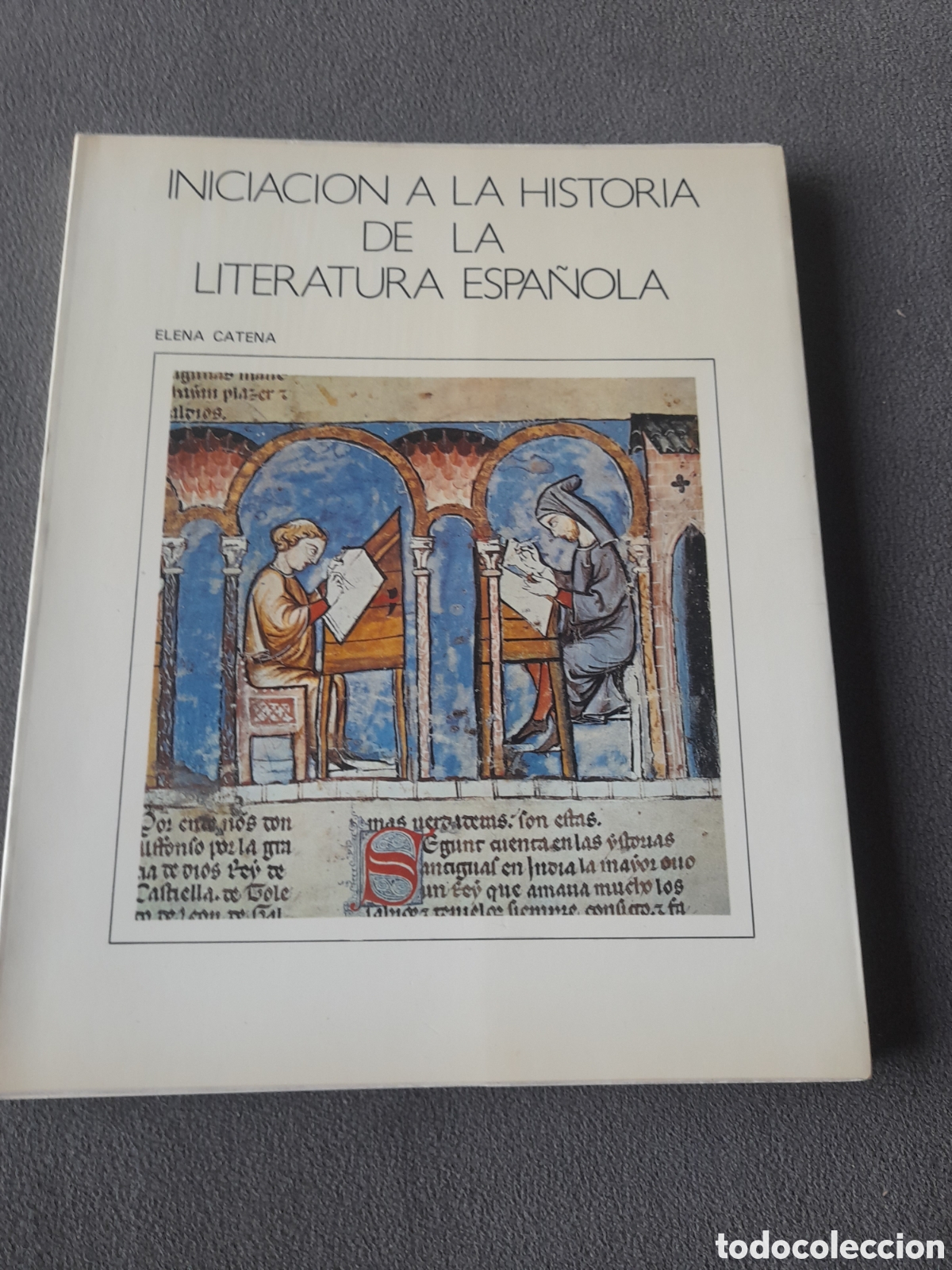 Second hand books: Iniciaci&oacute;n a la historia de la literatura espa&ntilde;ola ppr Elena Catena