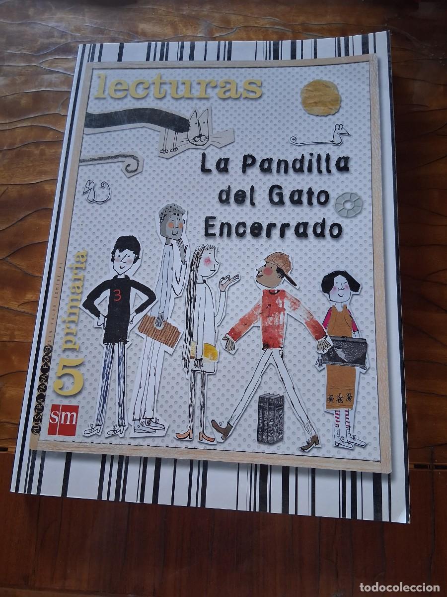 Libros de segunda mano: Libro Lecturas quinto de primaria la pandilla del gato encerrado