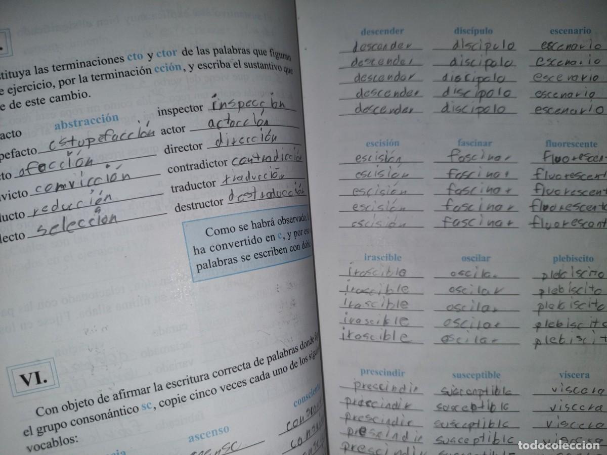 Libros de segunda mano: 201- Ejercicios Ortogr&aacute;ficos - Agust&iacute;n Mateos Mu&ntilde;oz - Editorial Esfinge - Foto 12