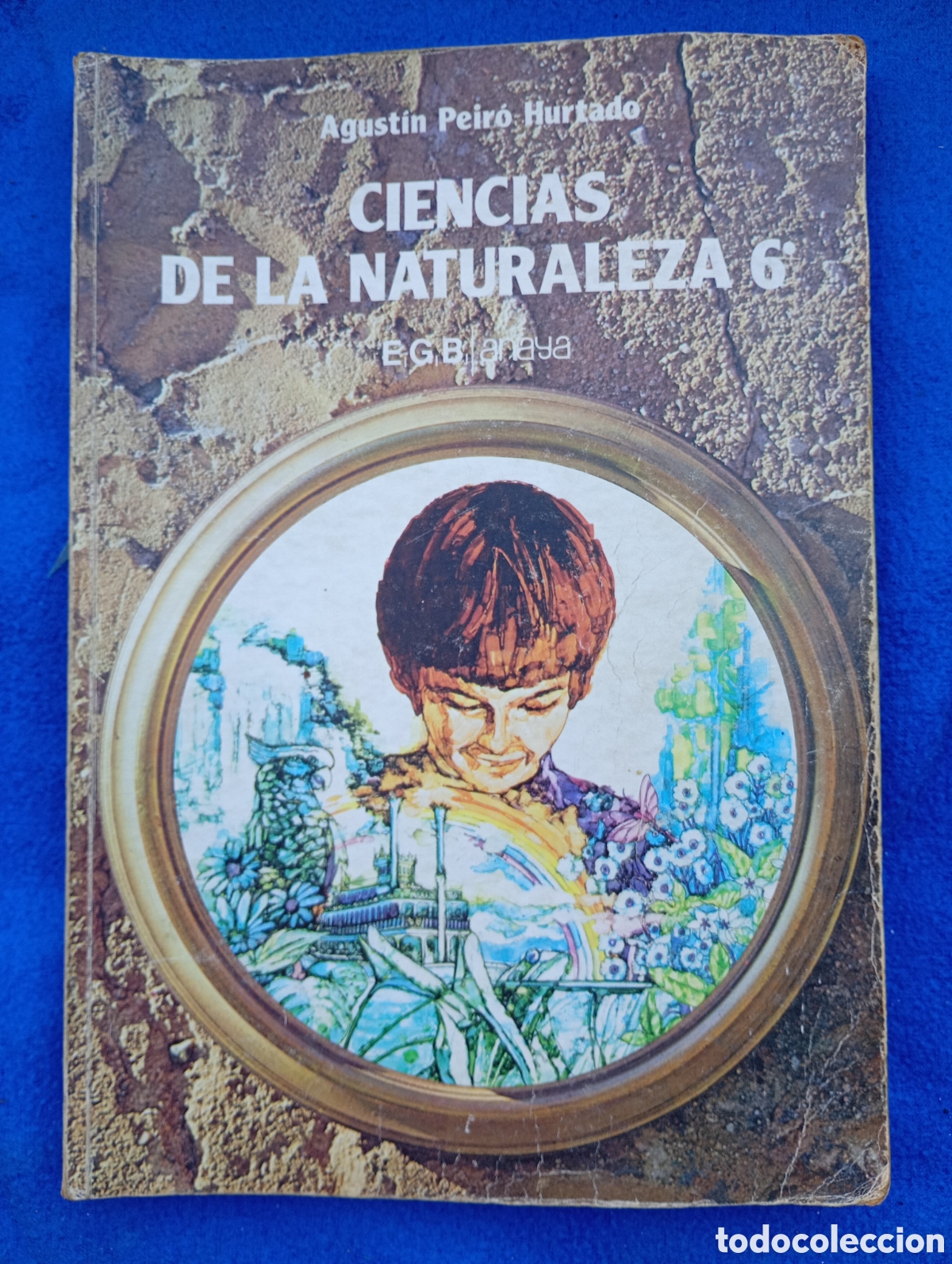 Libros de segunda mano: Ciencias de la naturaleza 6 egb Anaya
