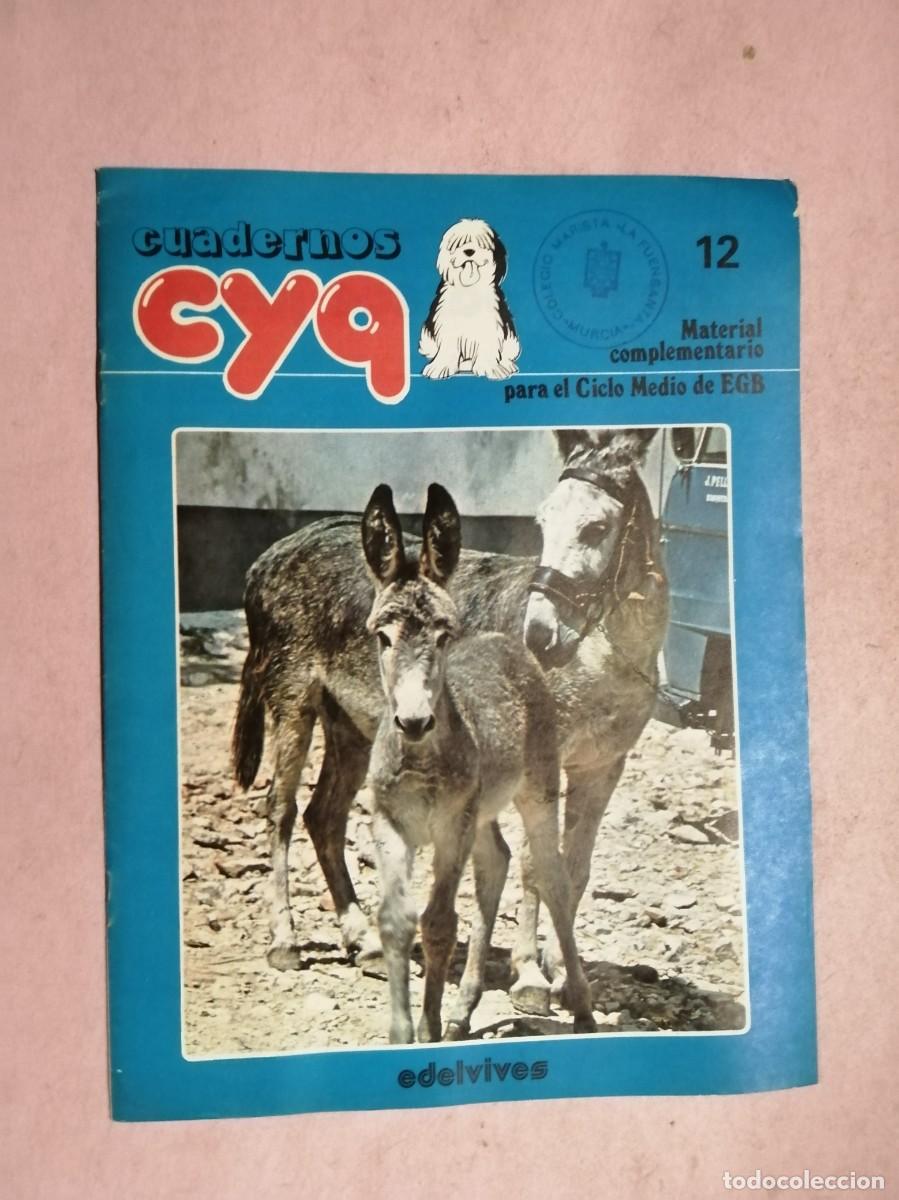 Libros de segunda mano: CUADERNOS CY9. MATERIAL COMPLEMENTARIO PARA EL CICLO MEDIO EGB (NUMERO 12)