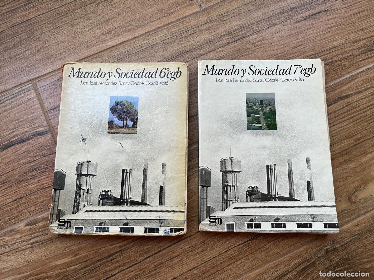 Libros de segunda mano: MUNDO Y SOCIEDAD 6 y 7 EGB EDITORIAL SM