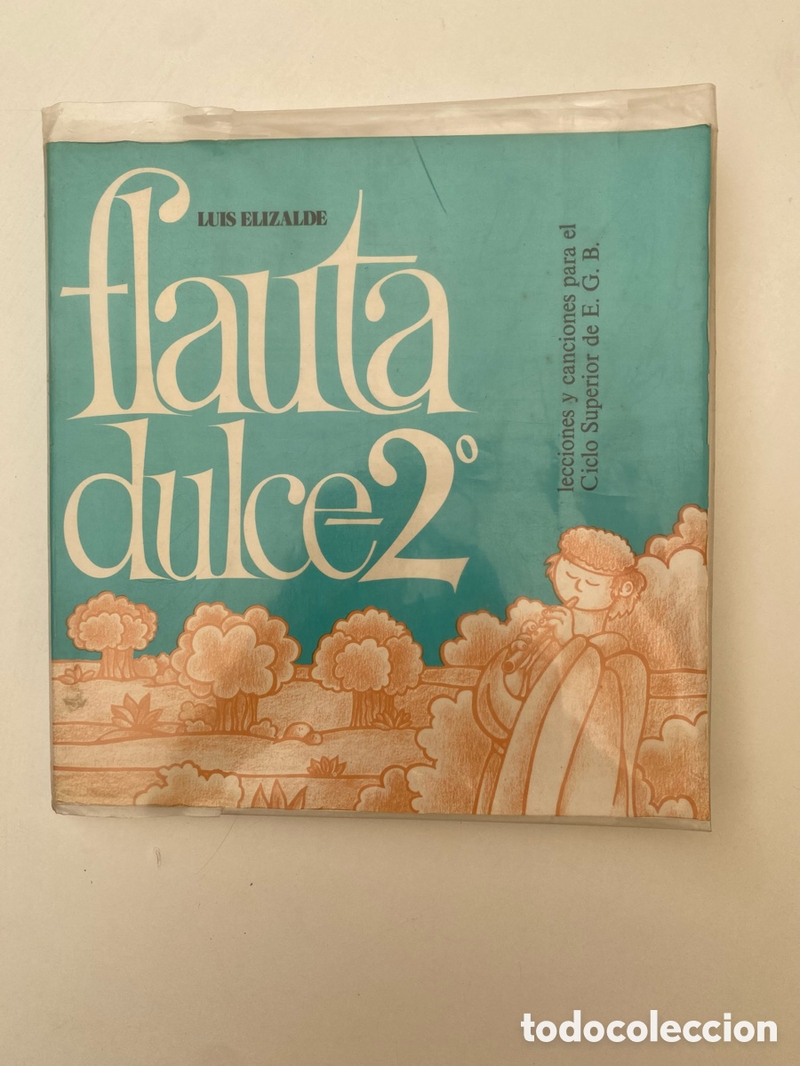 Libros de segunda mano: Libro Flauta Dulce 2 Ciclo Superior EGB - Luis Elizalde - Publicaciones Claretianas 1983