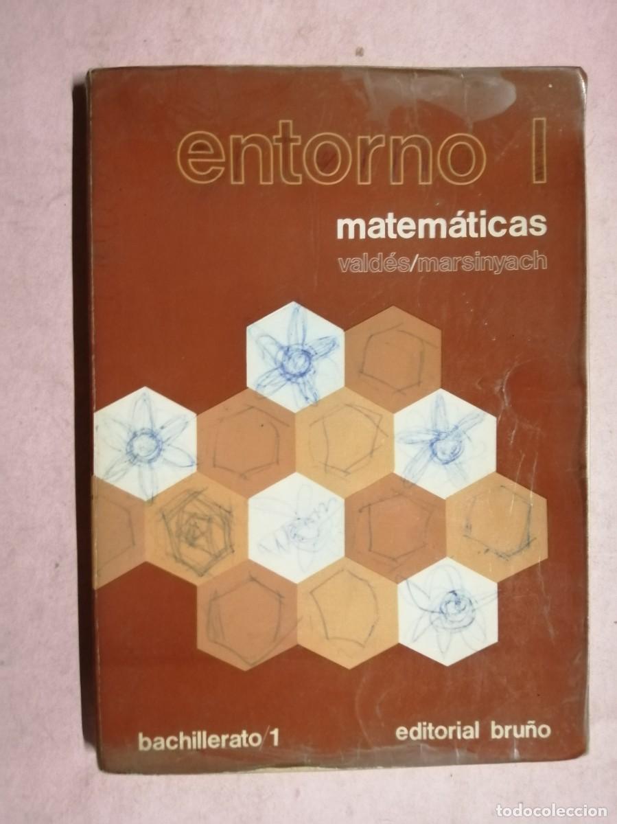Libros de segunda mano: ENTORNO I, MATEMATICAS. BACHILLERATO 1. EDITORIAL BRU&Ntilde;O