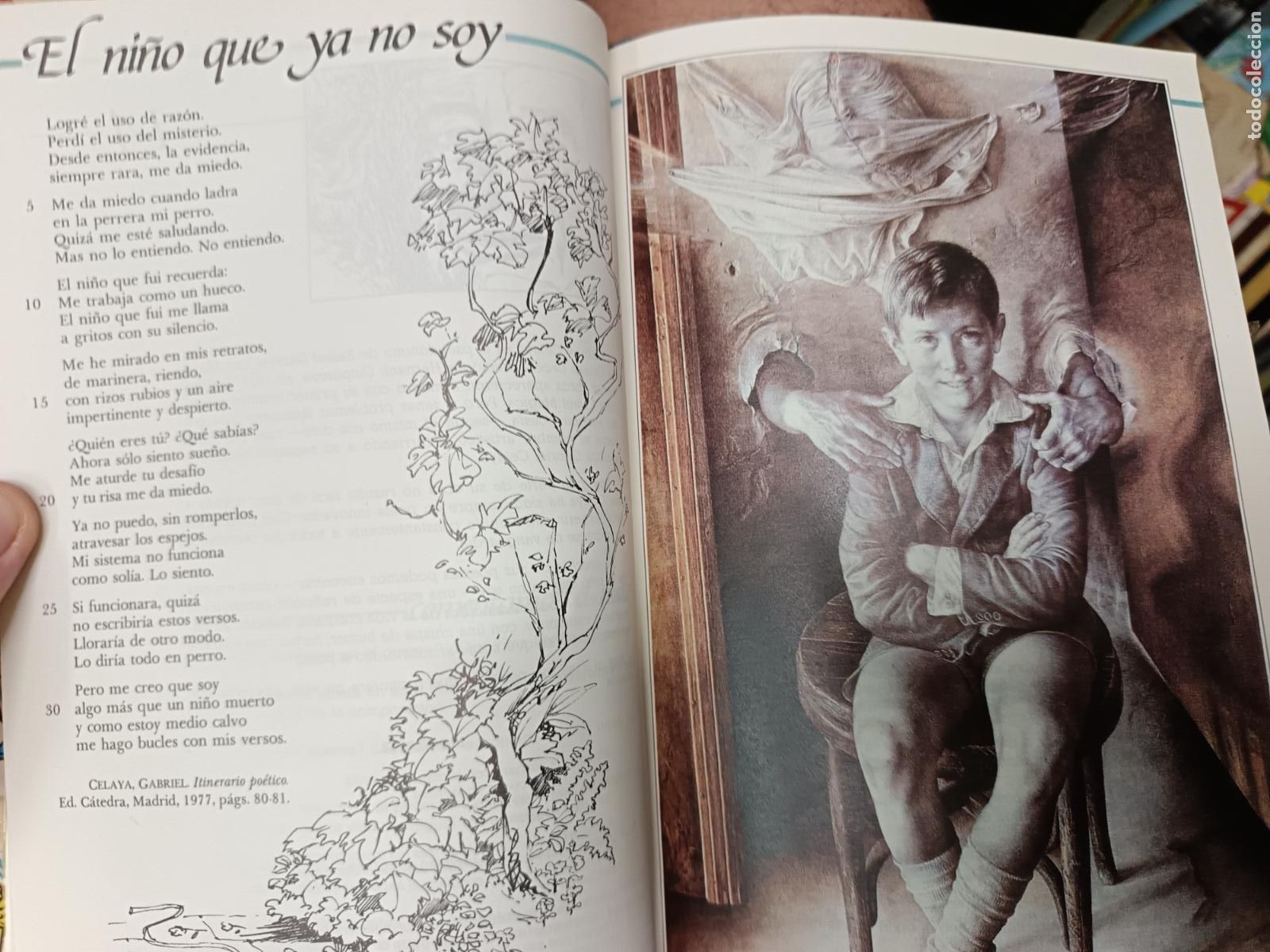 Libros de segunda mano: ANTOS, LECTURAS - 7&ordm; EGB 1990 ANAYA E.G.B. - Foto 6