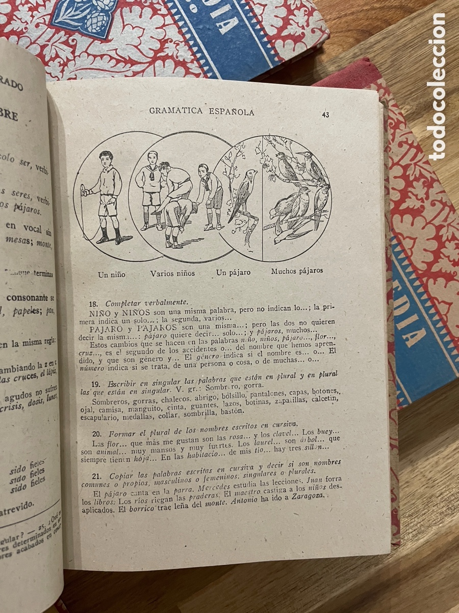 Libros de segunda mano: Gran colecci&oacute;n de libros escolar Edelvives. 9 ejemplares distintos. - Foto 14
