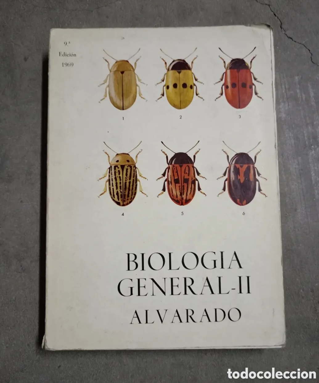 Gebrauchte B&uuml;cher: Biologia general II Alvarado