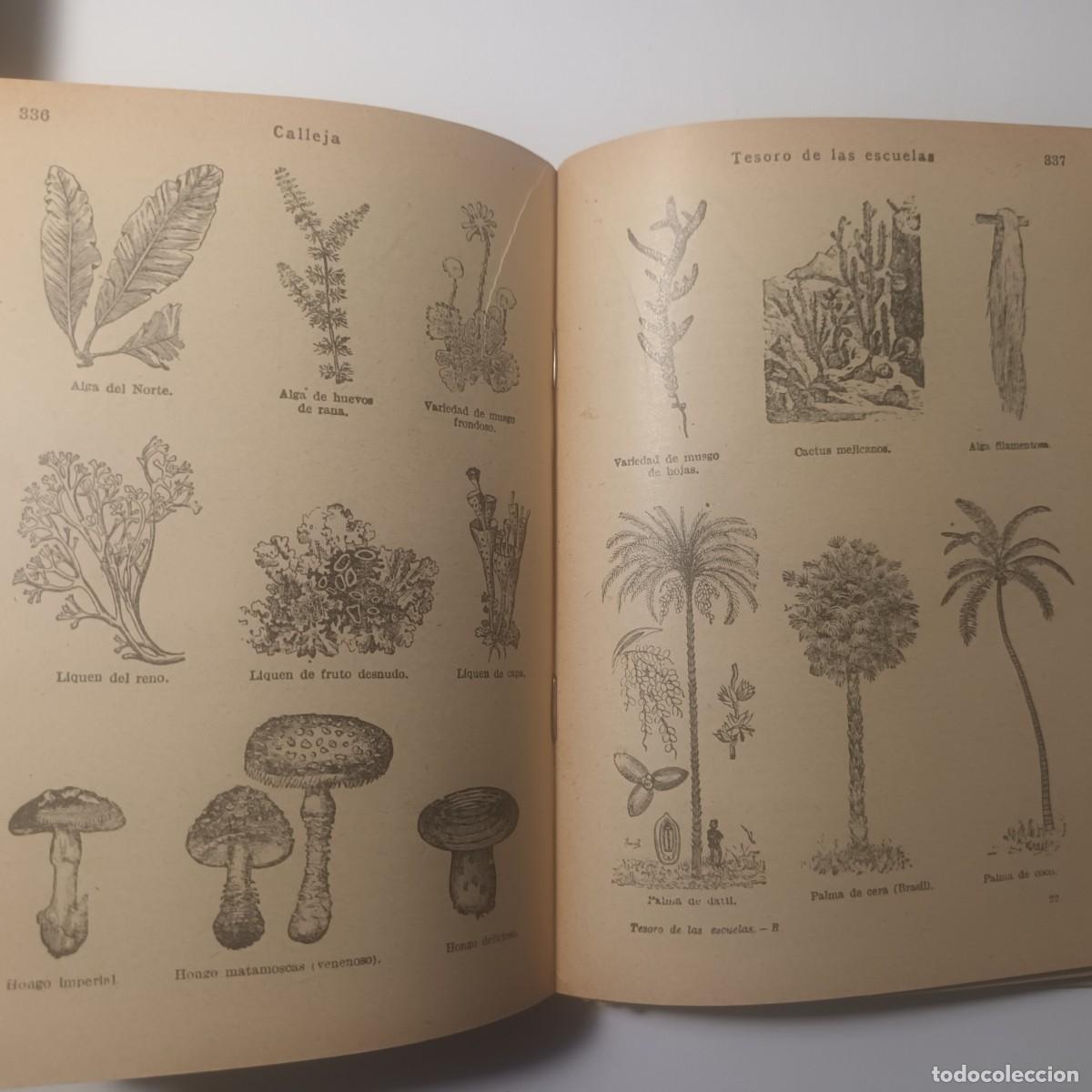 Libros de segunda mano: Libro Tesoro de las Escuelas Lote L - 149A - Foto 6