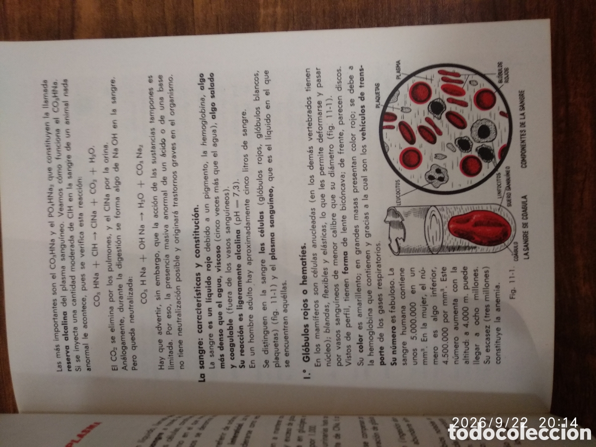 Libros de segunda mano: Biolog&iacute;a curso preuniversitario - Foto 15