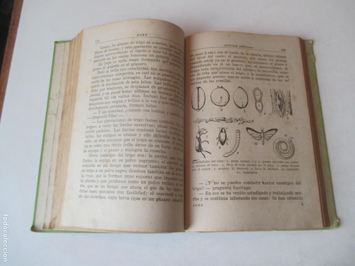 Libros de segunda mano: Lote de 7 libros de texto de escuela W42169 - Foto 5