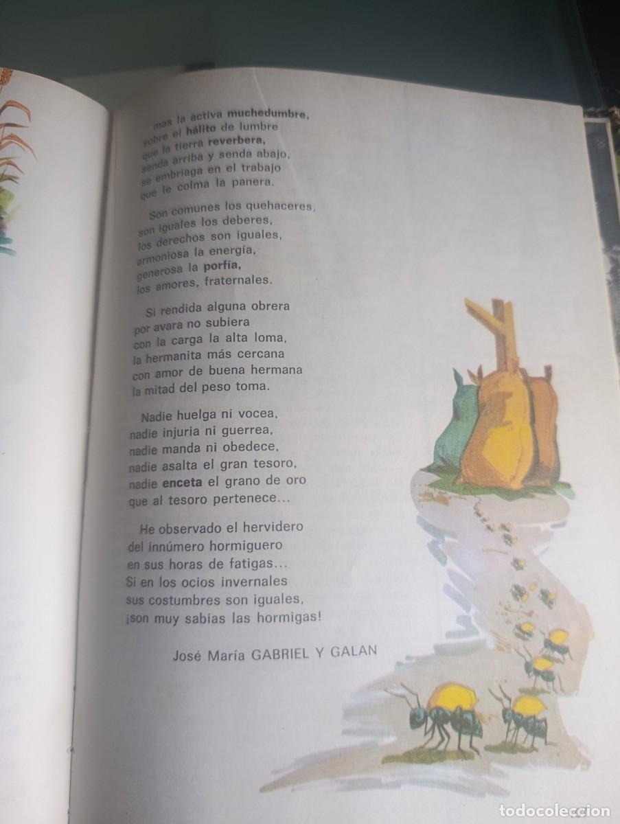 Libros de segunda mano: 2 Libros &rdquo;Lecturas Comentadas&rdquo; - Foto 2